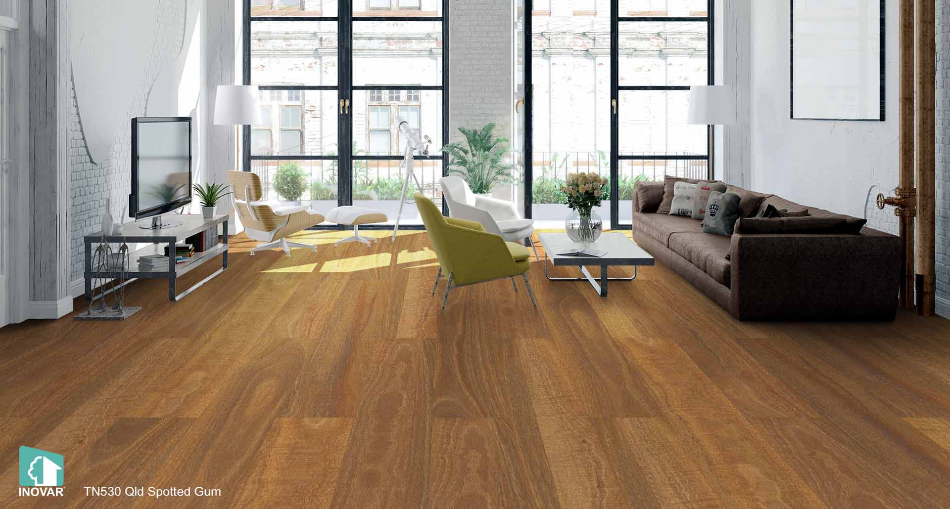 TN530 Qld Spotted Gum