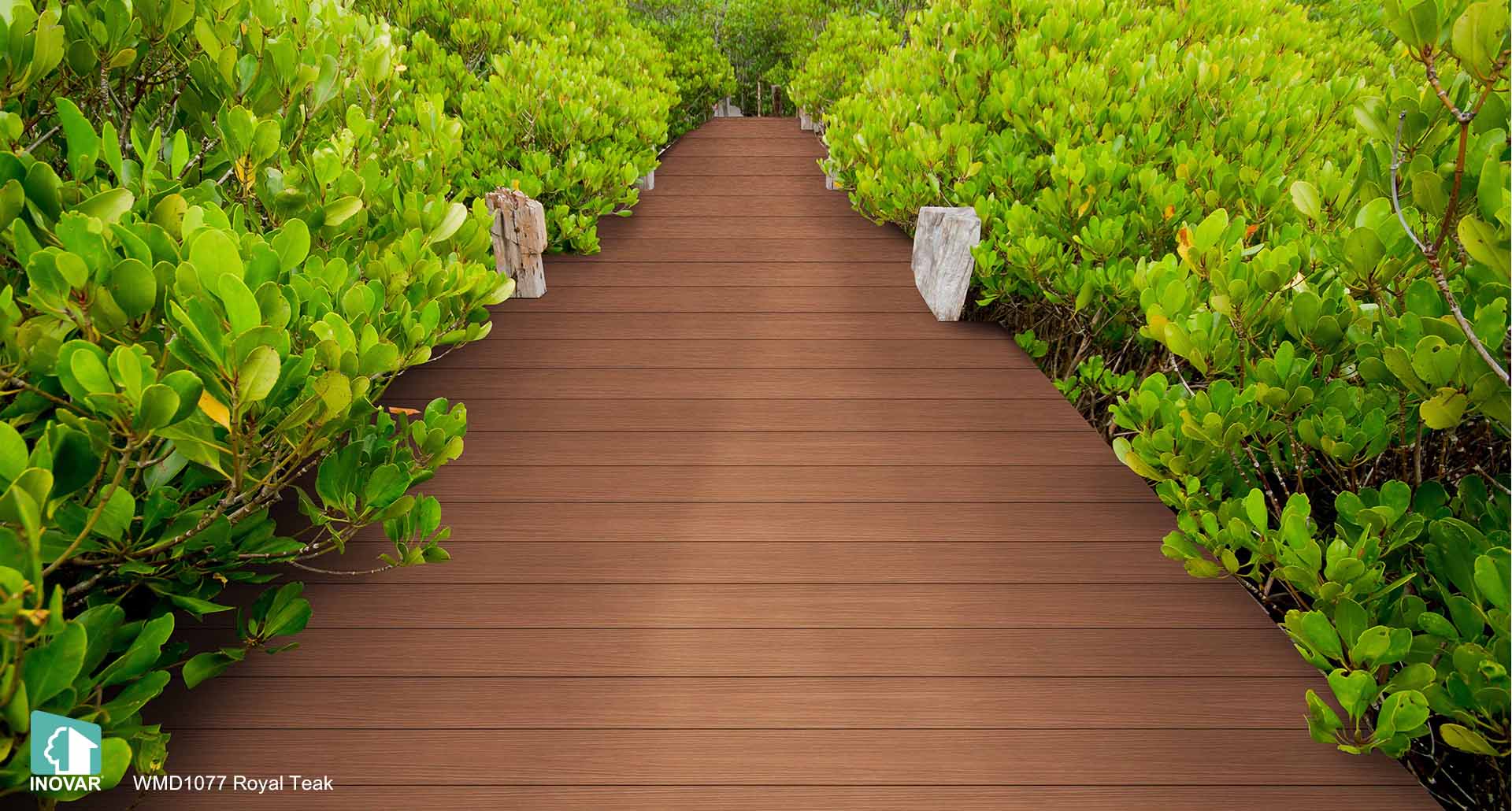 WMD1077 Royal Teak