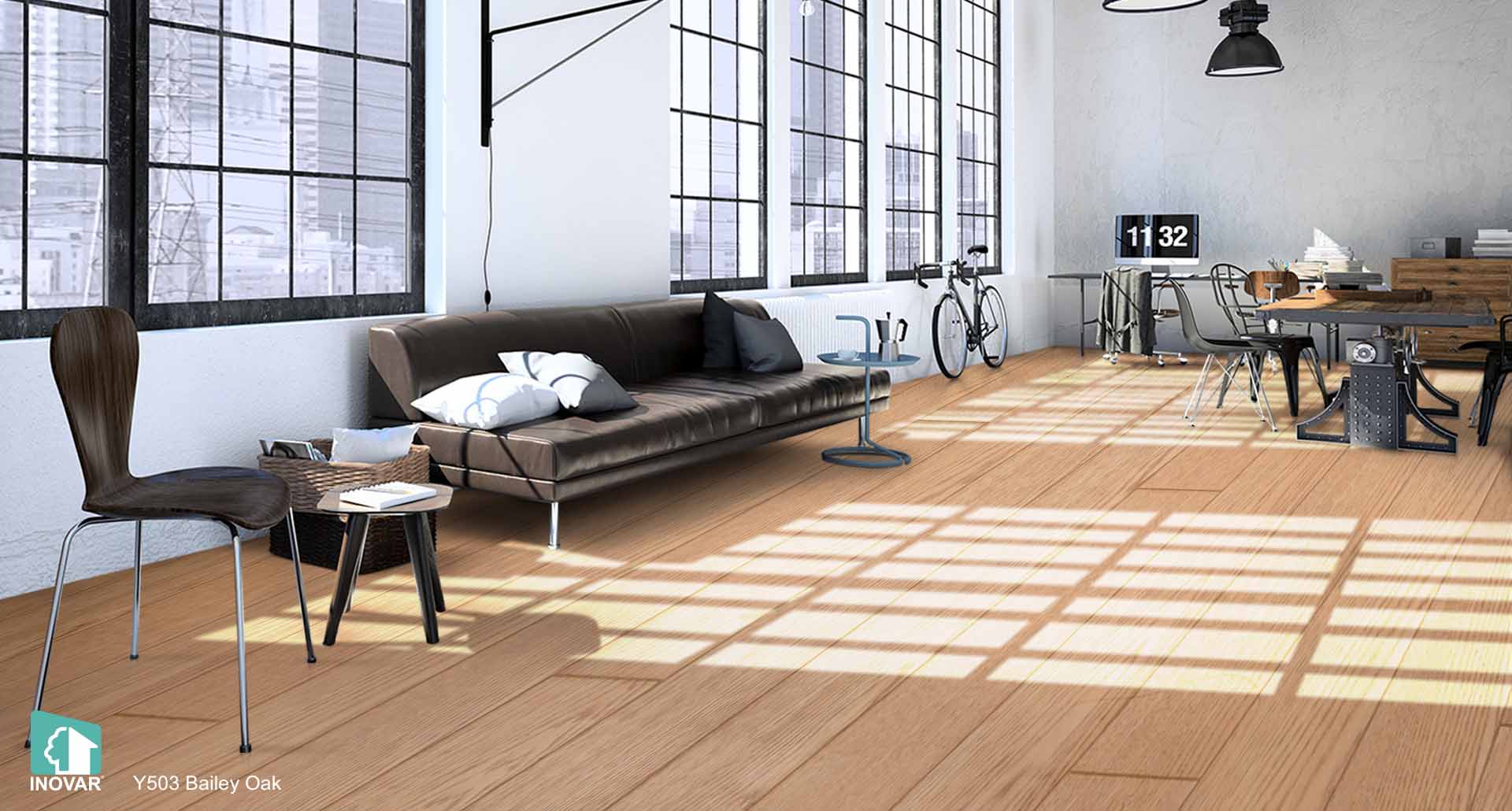 Y503 Bailey Oak